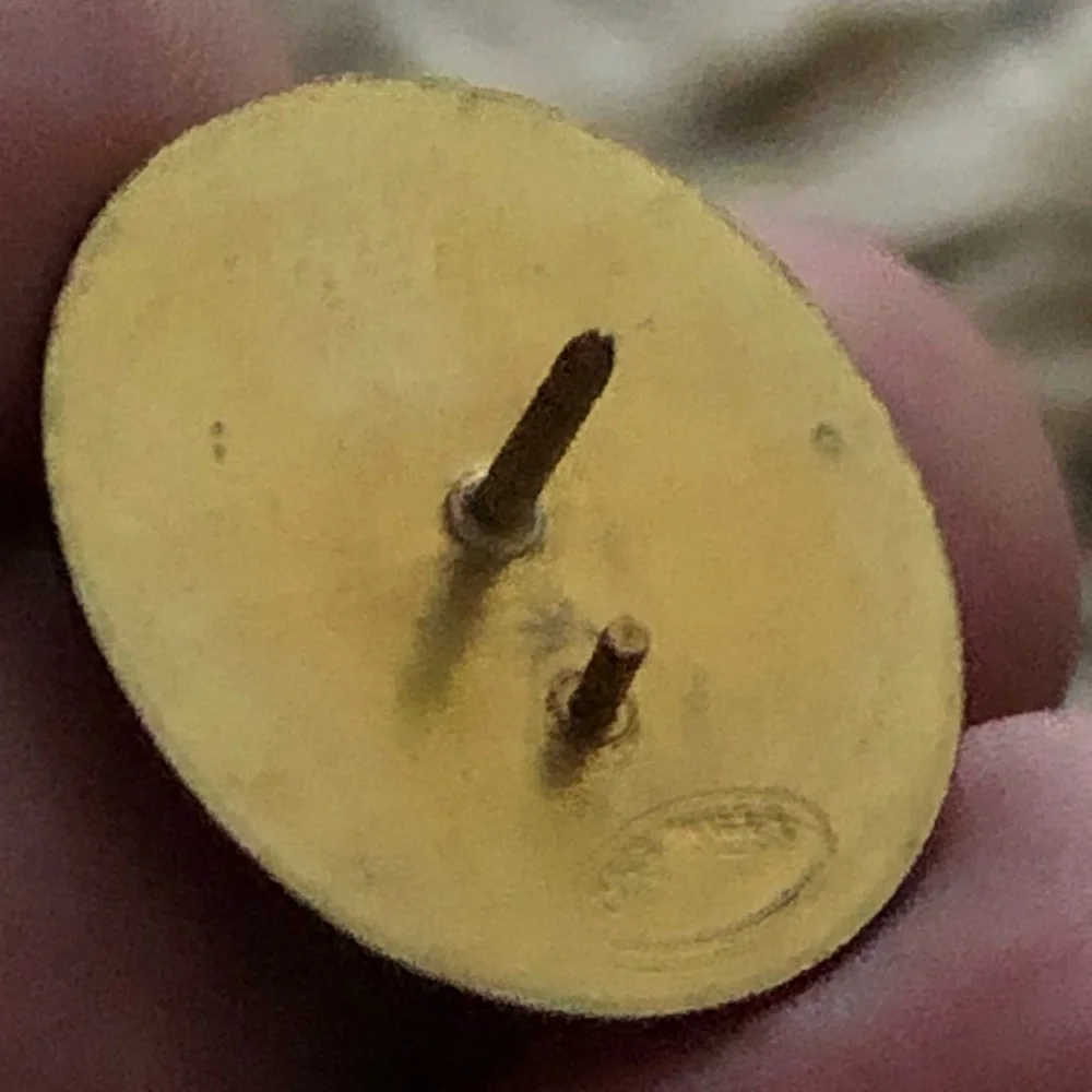 Vintage glaring cat resin coated tac pin